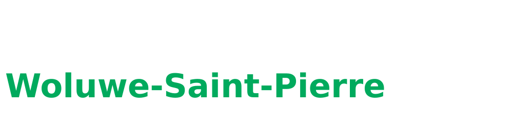 Serrurier Woluwe-Saint-Pierre Logo